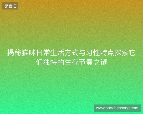 揭秘猫咪日常生活方式与习性特点探索它们独特的生存节奏之谜